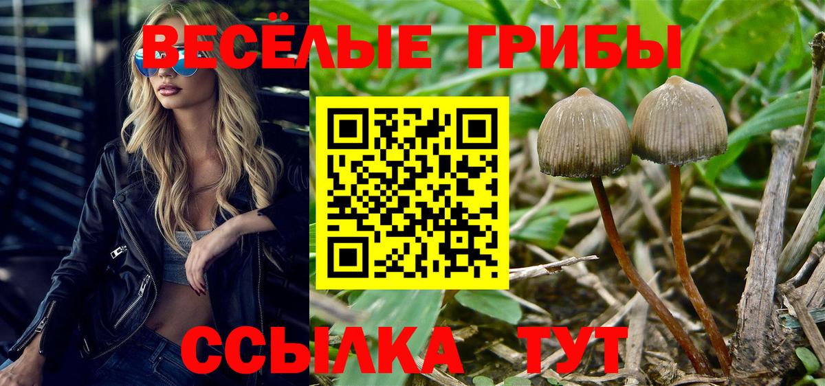 Псилоцибиновые грибы MAGIC MUSHROOMS  Псилоцибиновые грибы мицелий  Вход с VPN  Архангельск 